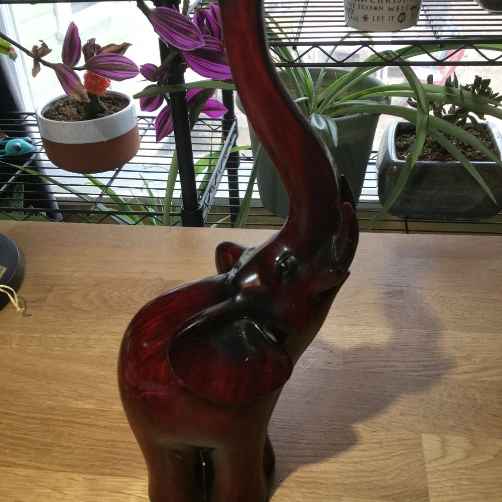 Elephant